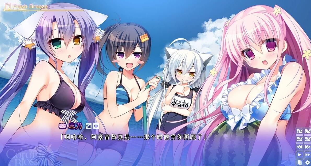 【SVIP/PC/2D/GAL/中文】日冕花开 Vol.1-3 双端官方中文版+R18补丁【18G】