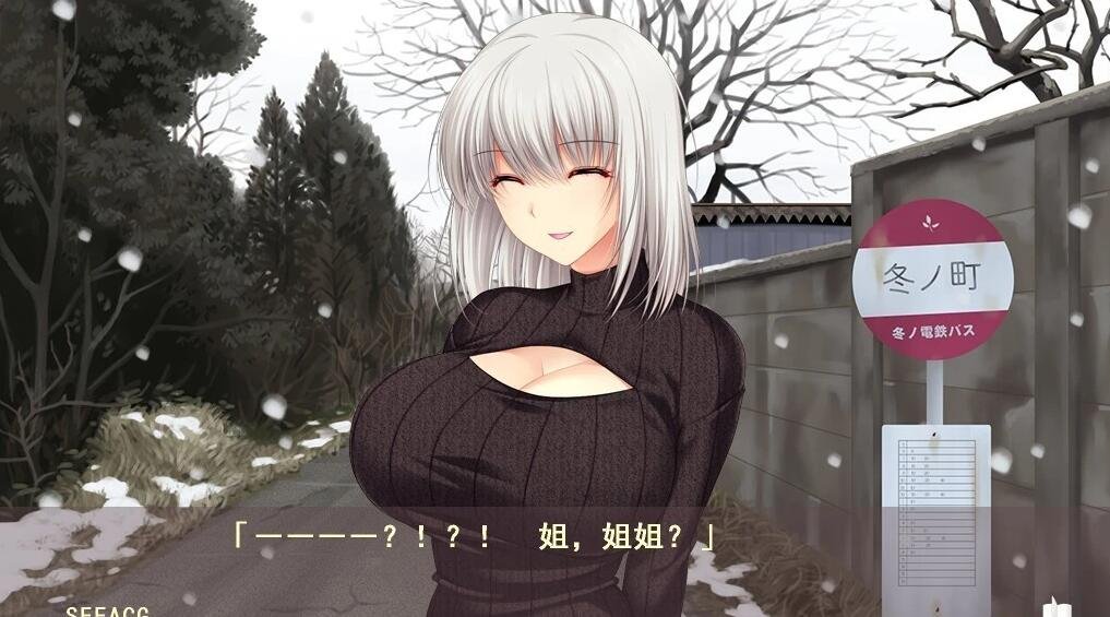 【PC/2D/大作ADV/汉化/动态】[竹子社]我的姐姐老师～补习课老师 汉化版【6G】