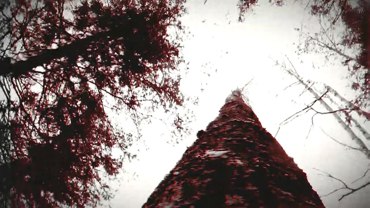 狼人之末日怒吼:地灵之血/Werewolf: The Apocalypse Earthblood