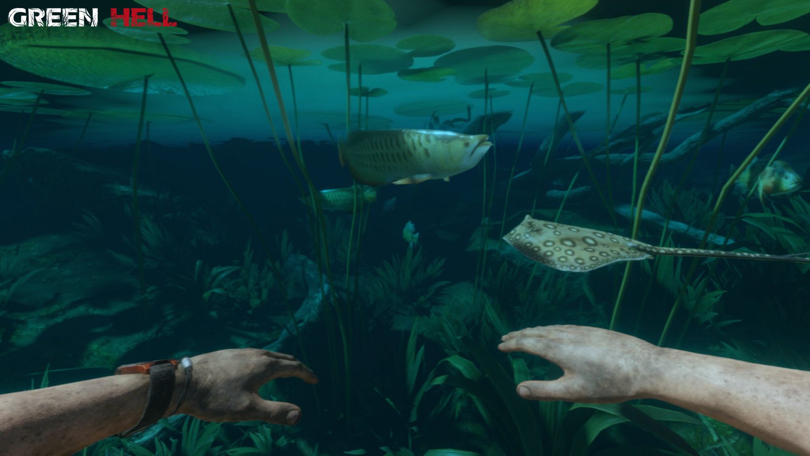 丛林地狱/绿色地狱/Green Hell(更新v2.6.2整合储存和运输更新)