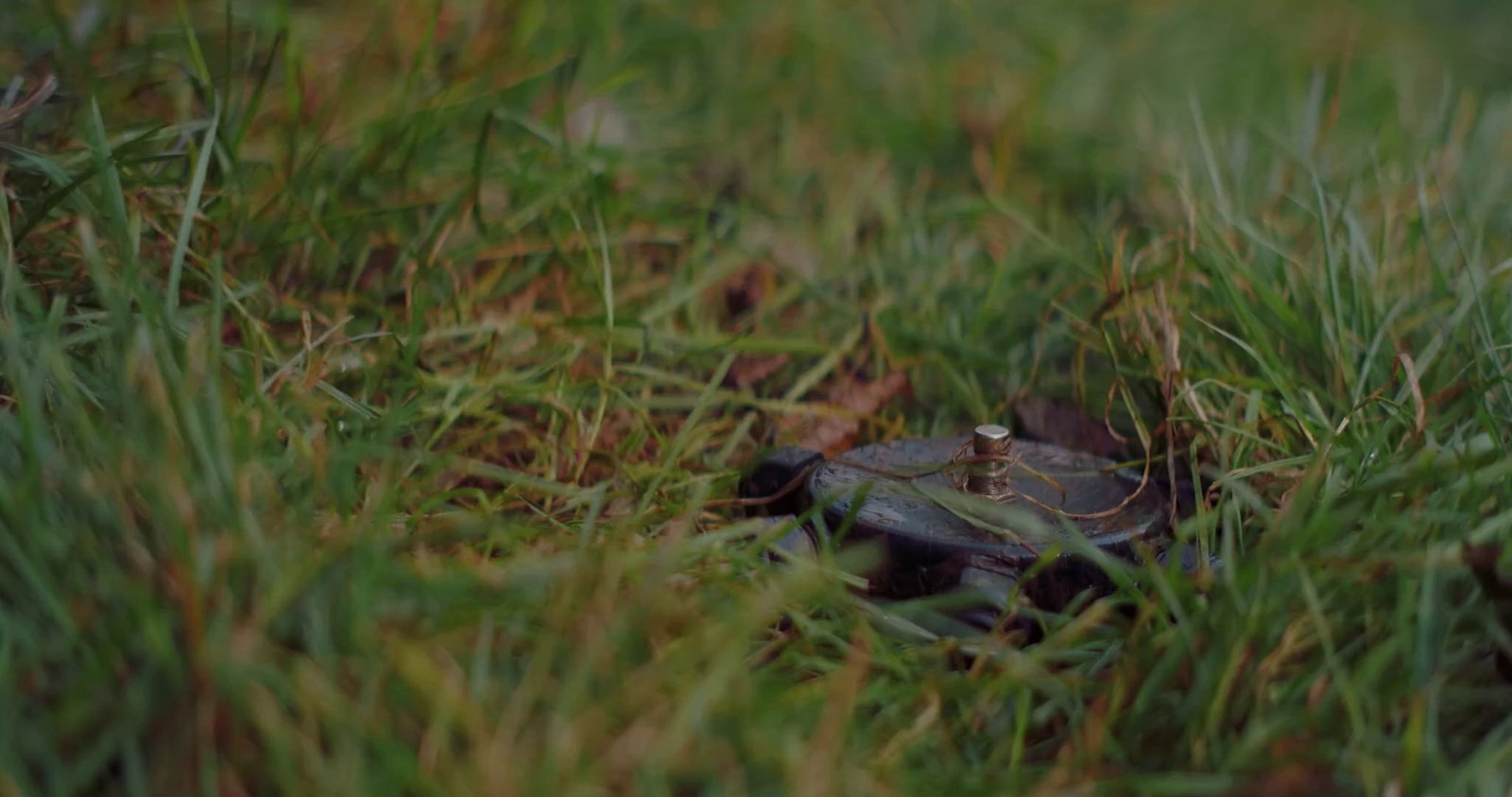 血岸岛/Bloodshore