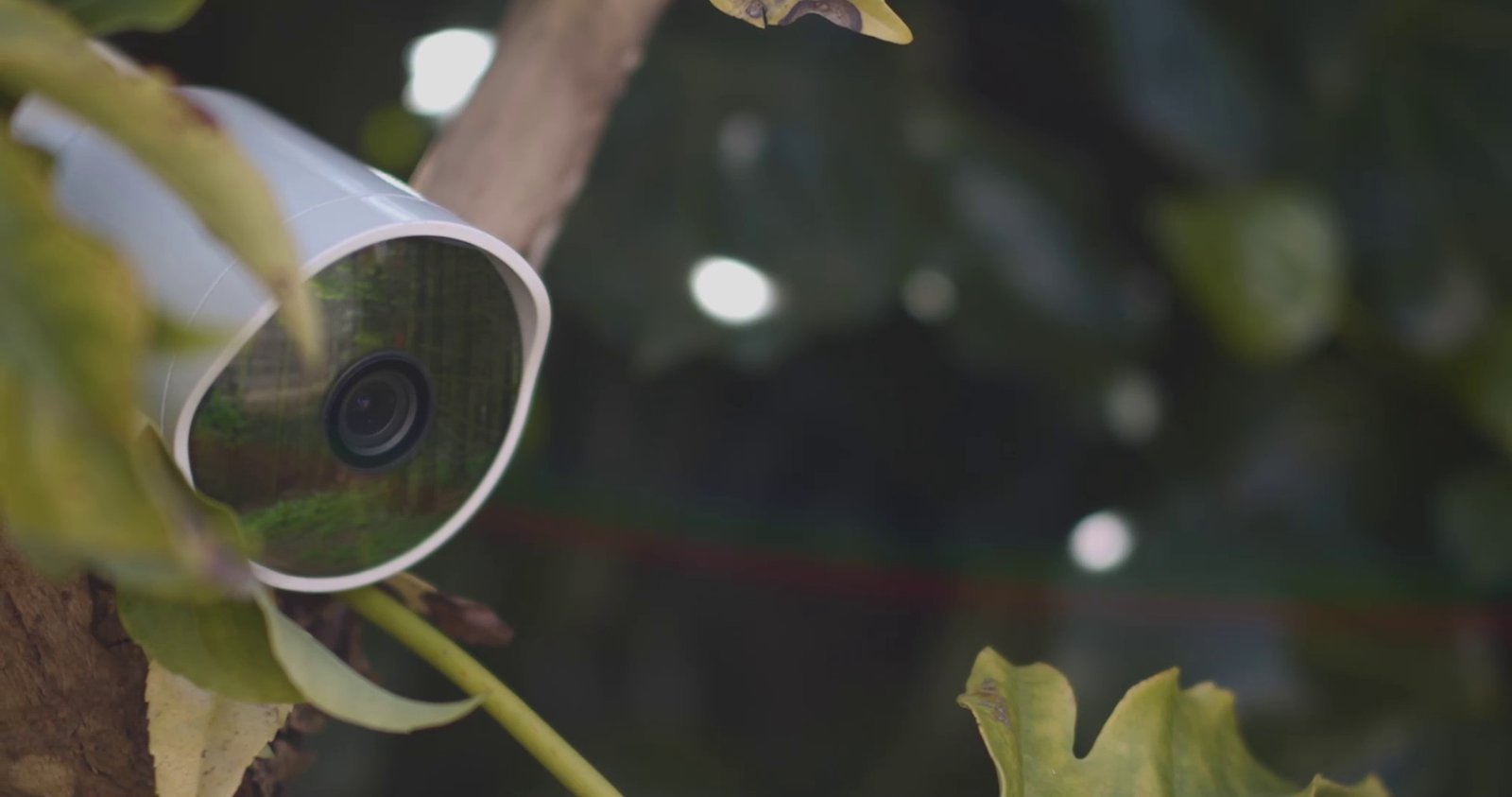 血岸岛/Bloodshore