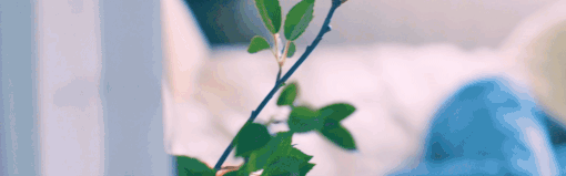 太轻易坠入爱河/Love Too Easily