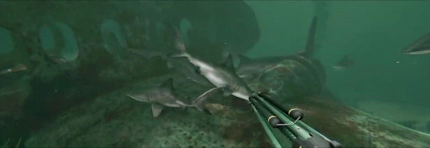 死在水中2/Death in the Water 2(v1.1.7)