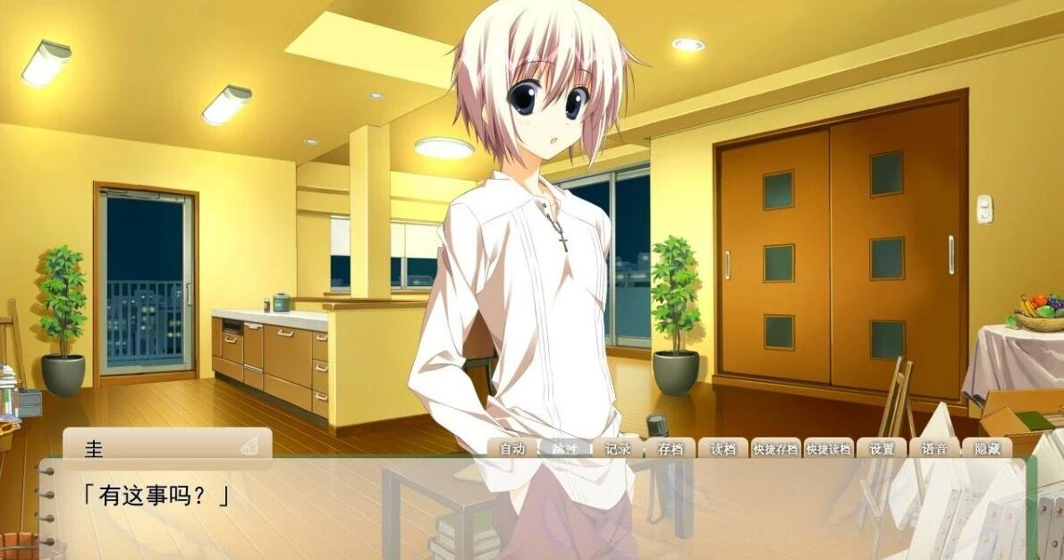 【PC/2D/GAL/汉化】樱之诗-在樱花之森上飞舞 精翻汉化版【6G】