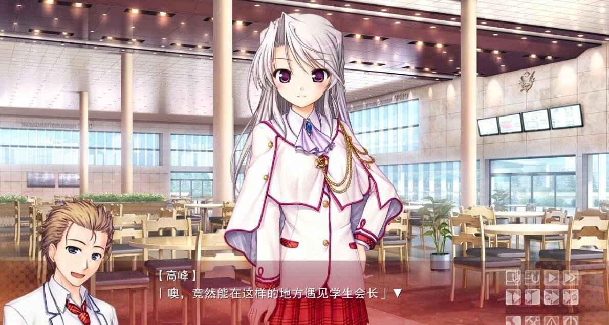 【PC/2D/GAL/汉化】大图书馆的牧羊人/大図书馆の羊饲い 精翻汉化版+FD【8G】