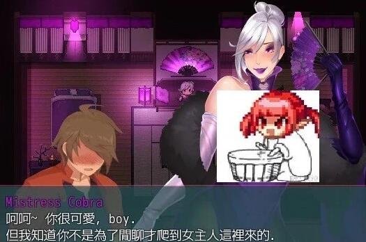 【PC/2D/RPG/中文】抖M的践踏之塔 1-10层汉化合集【H战斗/5.5G】