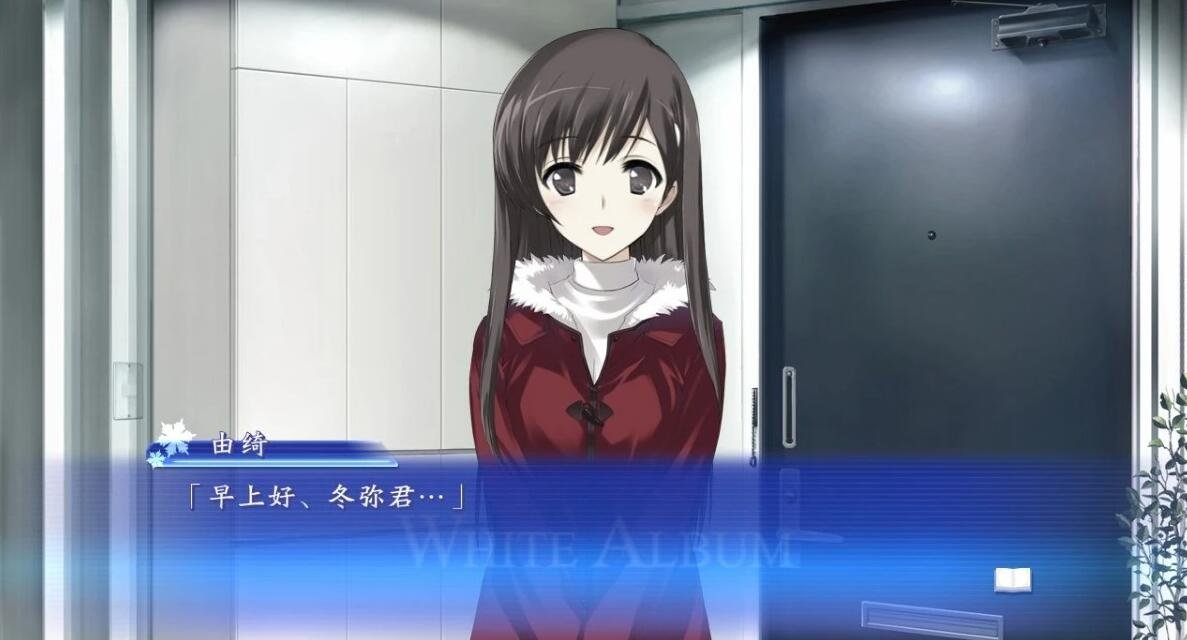 【PC/2D/GAL/中文】白色相簿:编缀的冬日回忆 V1.0 STEAM官中+攻略+存档【3.5G】