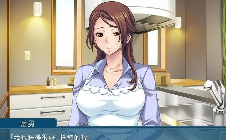 【PC/2D/拔作ADV/汉化/NTR】第一次见岳母大人 双端云汉化版+CG+动画【2.4G】