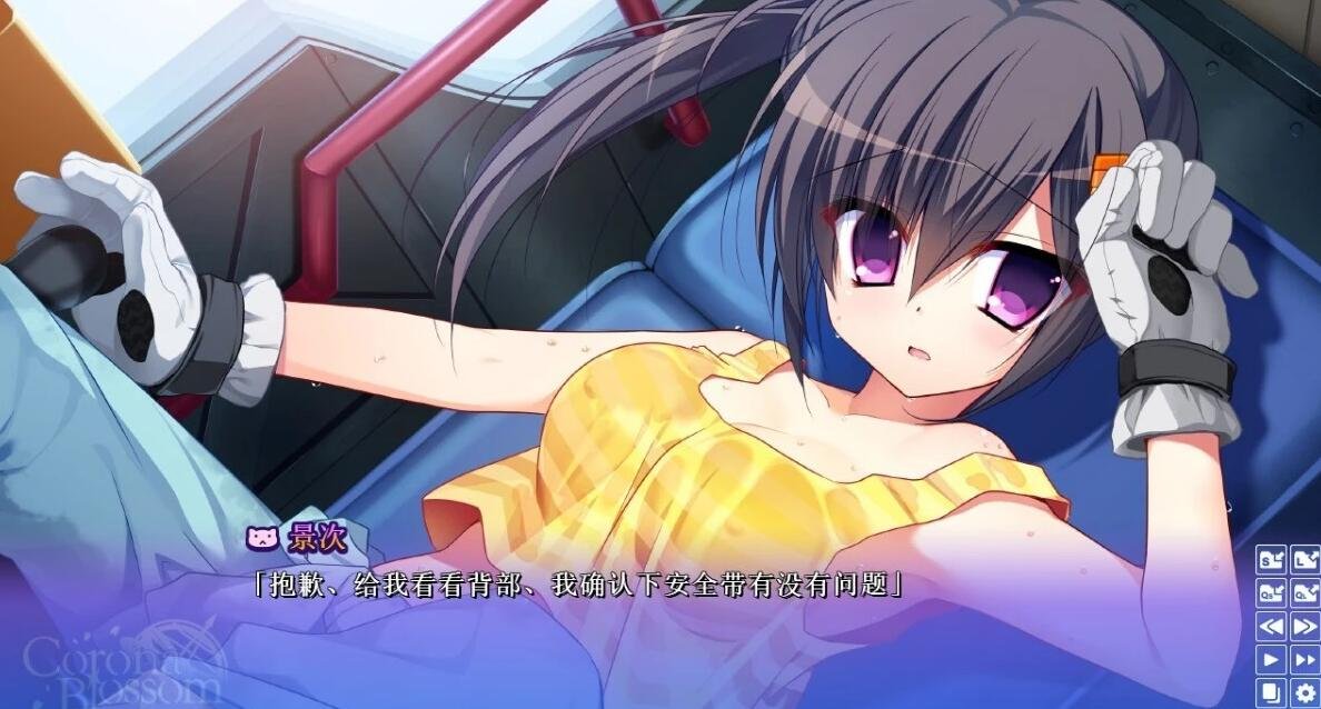 【SVIP/PC/2D/GAL/中文】日冕花开 Vol.1-3 双端官方中文版+R18补丁【18G】