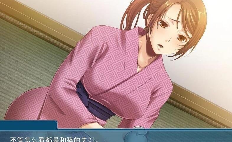 【PC/2D/拔作ADV/汉化/NTR】第一次见岳母大人 双端云汉化版+CG+动画【2.4G】