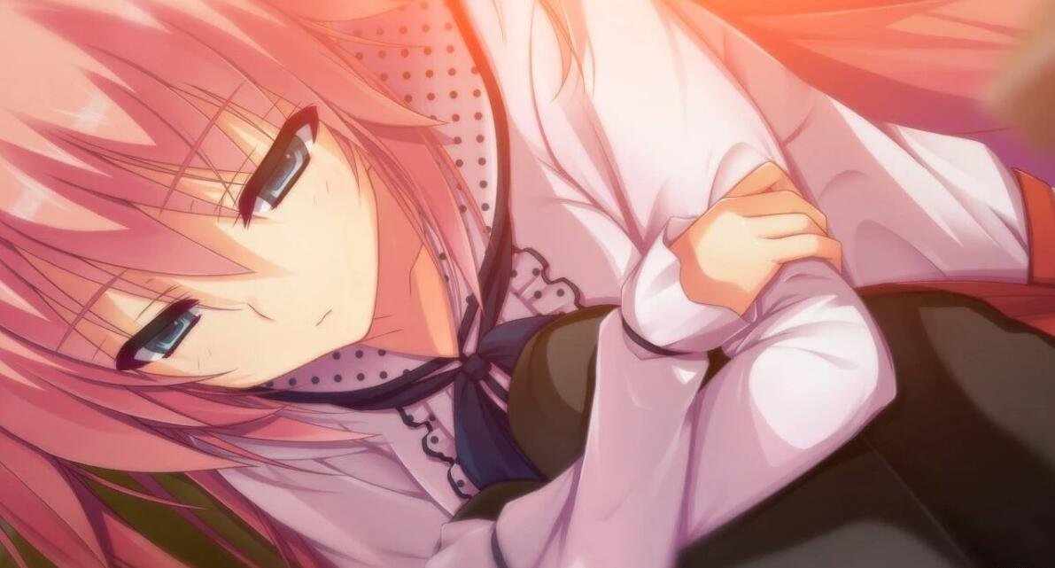 【PC/2D/GAL/汉化】回忆录 Re：Collect（Reminiscence Re：Collect）精翻汉化版【2.5G】