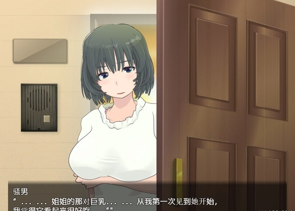 【PC/RPG/汉化/动态】寝取小镇的超H传阅板!开门即H!汉化双端作弊【920M】