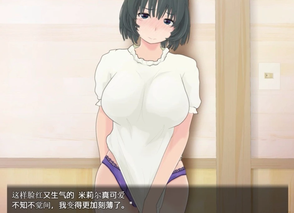 【PC/RPG/汉化/动态】寝取小镇的超H传阅板!开门即H!汉化双端作弊【920M】