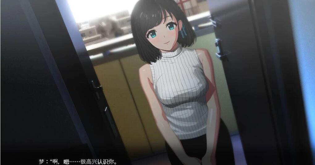 【PC/2D/爆款SLG/汉化/动态】ROOM：窥视女孩私生活SLG V2.04 DL官方中文版【2G】