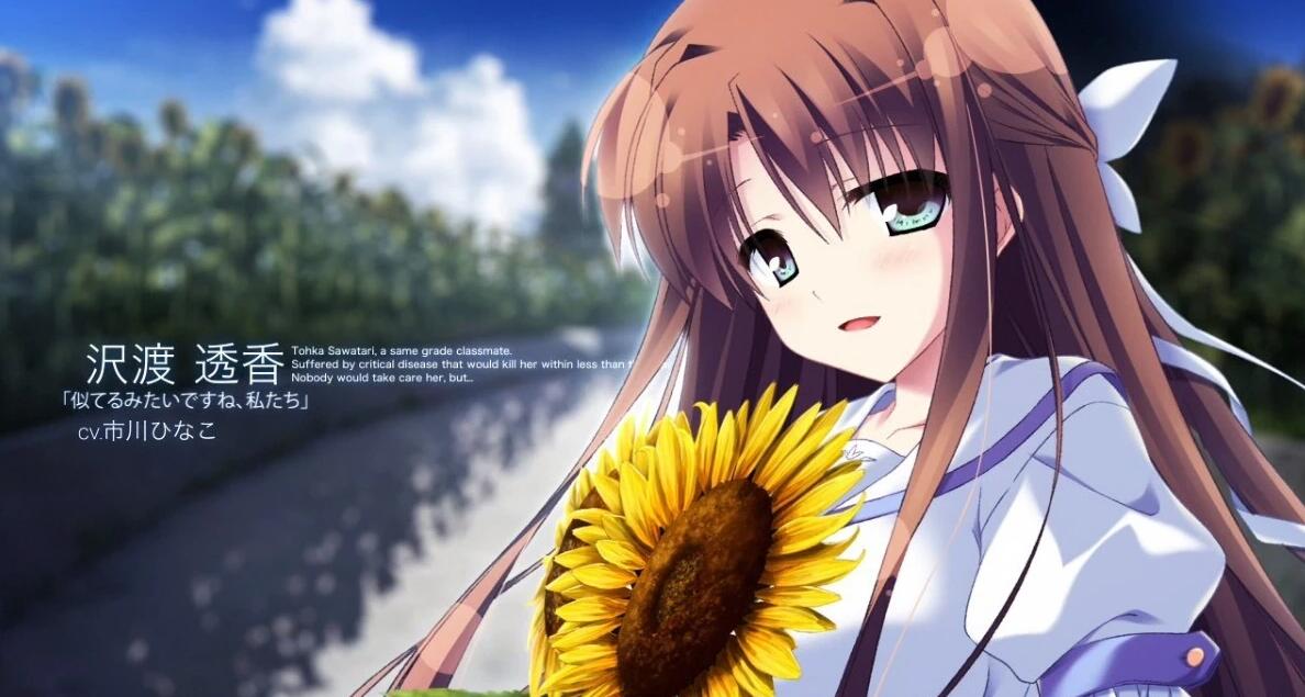 【PC/2D/GAL/汉化】夏空的英仙座 精翻汉化版+攻略+存档【5.1G】