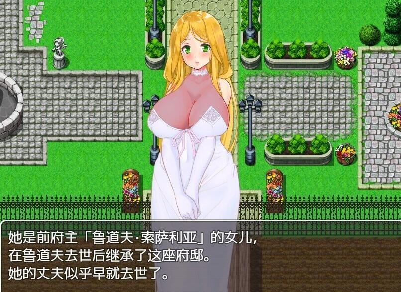 【PC/2D/RPG/汉化】陷落的魔法师 云翻汉化版【380M】