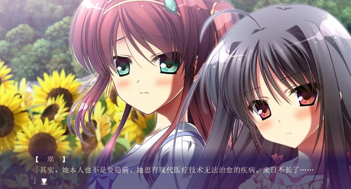 【PC/2D/GAL/汉化】夏空的英仙座 精翻汉化版+攻略+存档【5.1G】