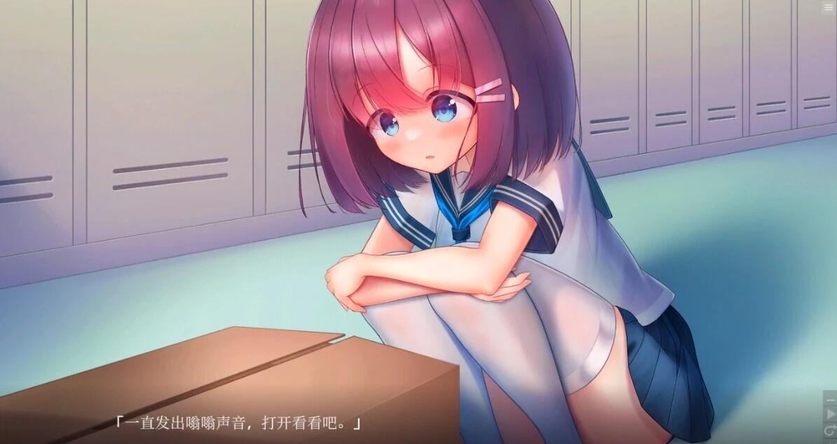 【PC/2D/SLG/中文】学校泳装少女快乐拷问模拟游戏 V1.2.0 DL官方中文版【1.3G】