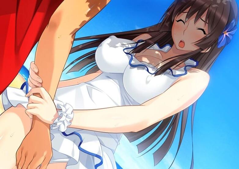 【PC/2D/ADV/汉化】姐姐，今年夏天 姉にこの夏 V1.0 AI汉化版+全CG存档【1.6G】