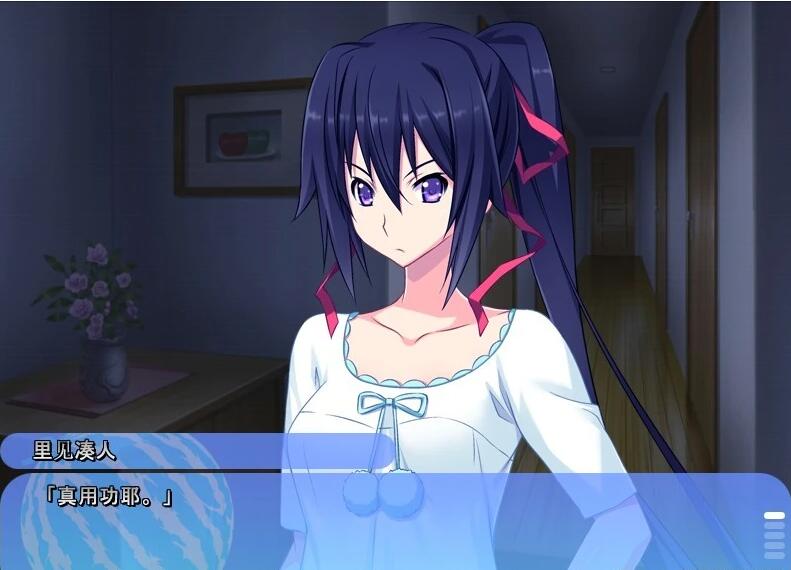 【PC/2D/ADV/汉化】姐姐，今年夏天 姉にこの夏 V1.0 AI汉化版+全CG存档【1.6G】