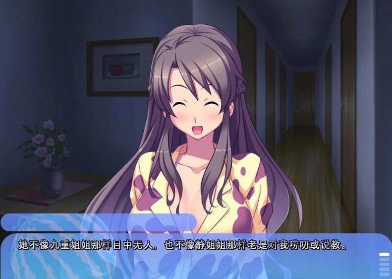 【PC/2D/ADV/汉化】姐姐，今年夏天 姉にこの夏 V1.0 AI汉化版+全CG存档【1.6G】