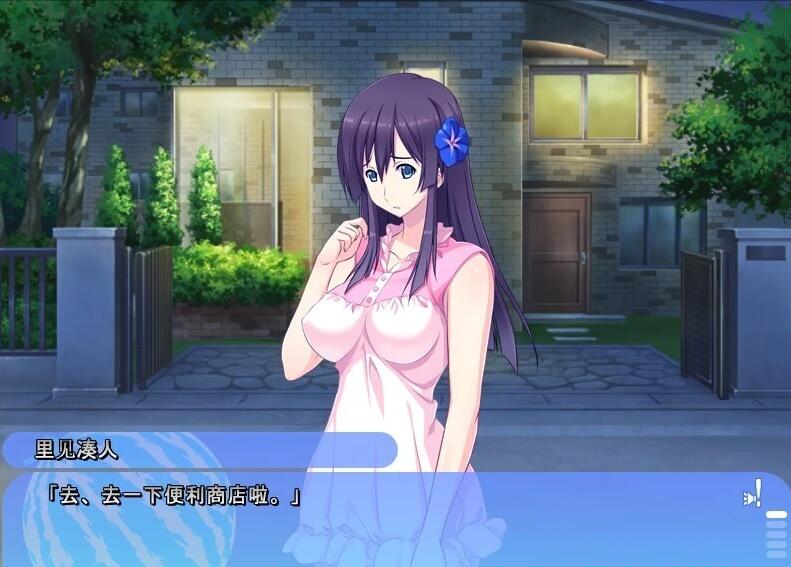 【PC/2D/ADV/汉化】姐姐，今年夏天 姉にこの夏 V1.0 AI汉化版+全CG存档【1.6G】