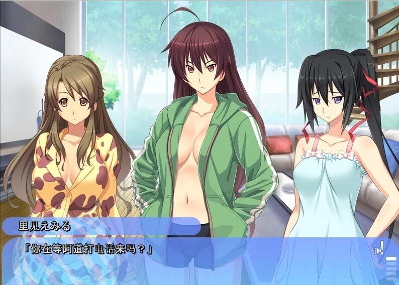 【PC/2D/ADV/汉化】姐姐，今年夏天 姉にこの夏 V1.0 AI汉化版+全CG存档【1.6G】
