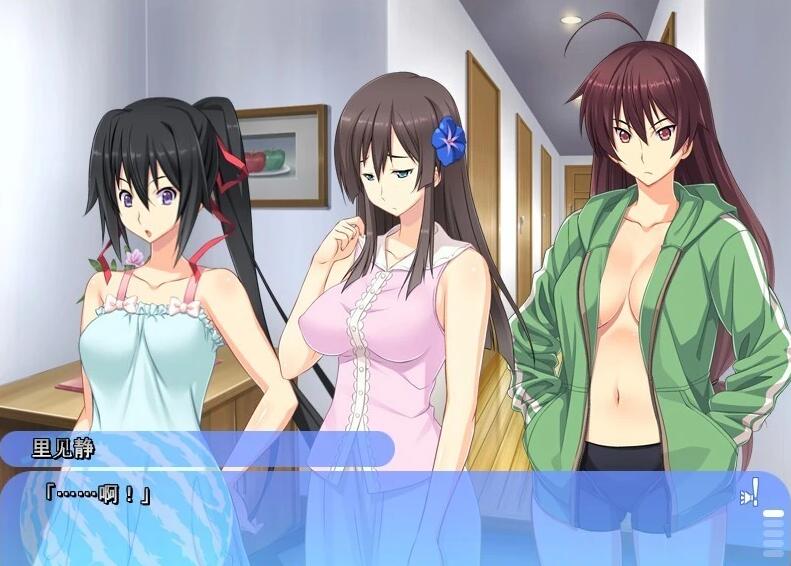 【PC/2D/ADV/汉化】姐姐，今年夏天 姉にこの夏 V1.0 AI汉化版+全CG存档【1.6G】