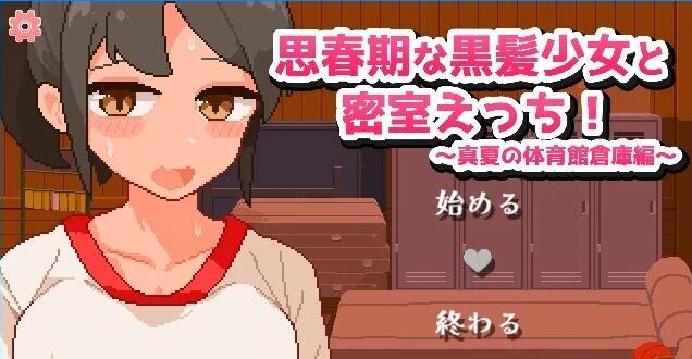 【PC/2D/SLG/汉化】青春期的黑发少女和密室绘里!AI汉化版【530M】