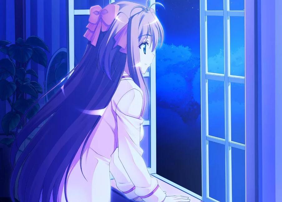 【PC/2D/GAL/汉化】愉悦服务～在梦幻之馆享受贤者时光！AI汉化版【3.3G】需转区运行，不会搞勿下！