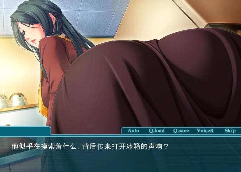 【PC/2D/ADV/汉化】银母乱汝~ 双端AI汉化版【240M】需转区运行,不会搞勿下!内置LE转区工具