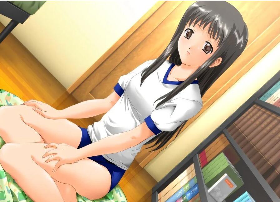 【PC/2D/ADV/汉化】加奈～欢迎回来～汉化重置版【1.3G】