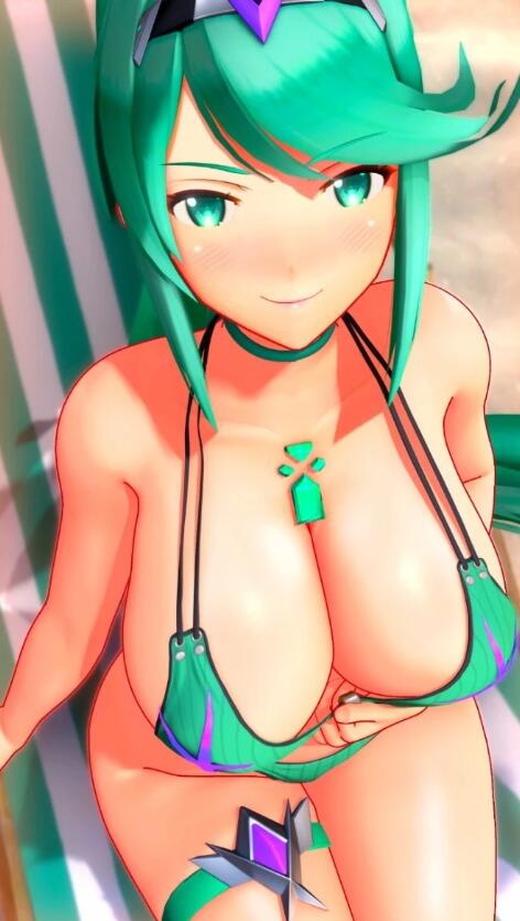 【DH/2D/3D/同人】BlobCG 大师 2024年01-07月 作品 莱莎+异度神剑 CG+动画【4.9G】