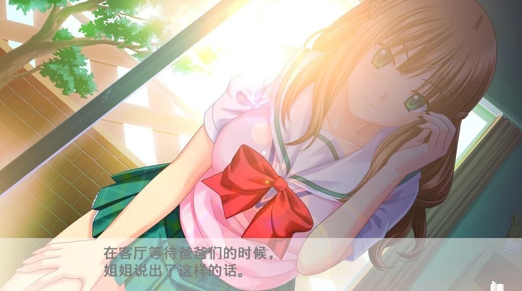 【PC/2D/ADV/汉化】心爱的姐姐带着女儿回到了我身边~ AI汉化版【1.3G】需转区运行,不会搞勿下!
