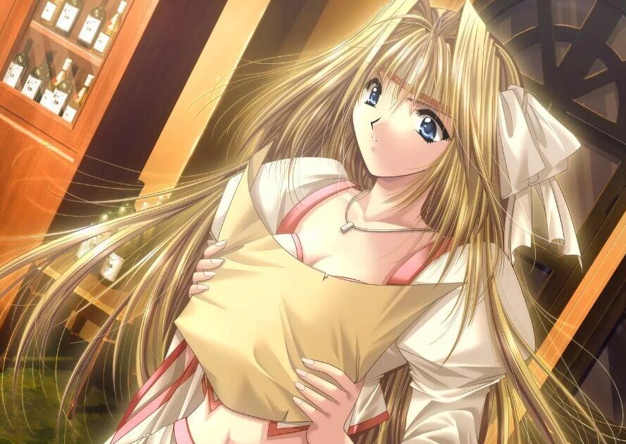 【PC/2D/SLG/汉化】城堡幻想曲 – 艾伦希亚战记 精翻汉化重制版【1.1G】