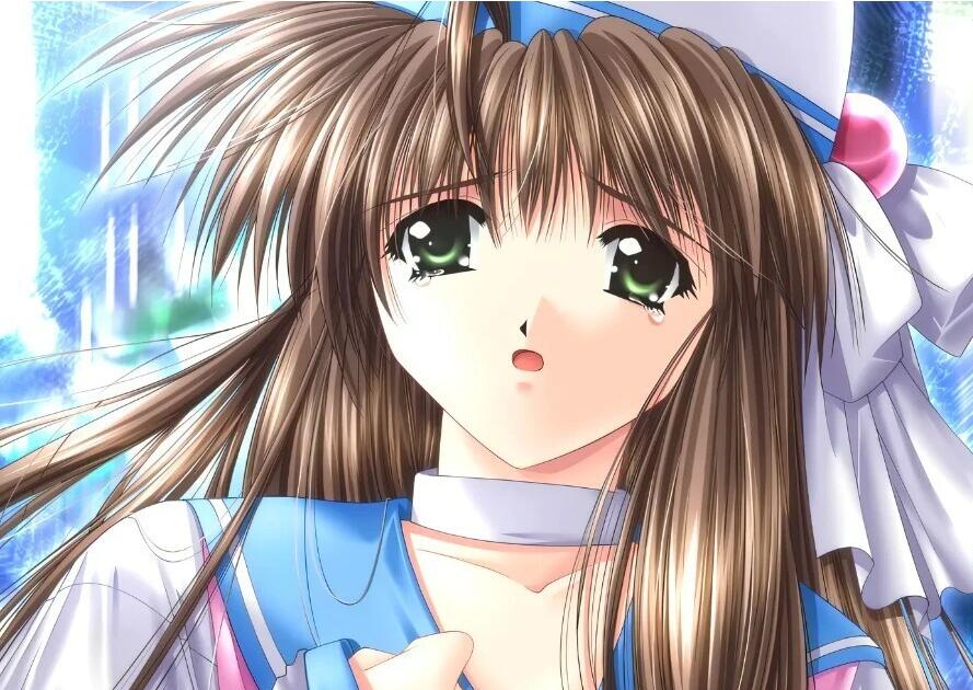 【PC/2D/SLG/汉化】城堡幻想曲 – 艾伦希亚战记 精翻汉化重制版【1.1G】