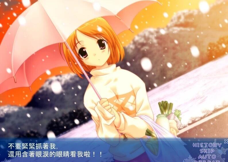 【PC/2D/GAL/汉化】雪之华-草津田屋 AI汉化版【1.8G】