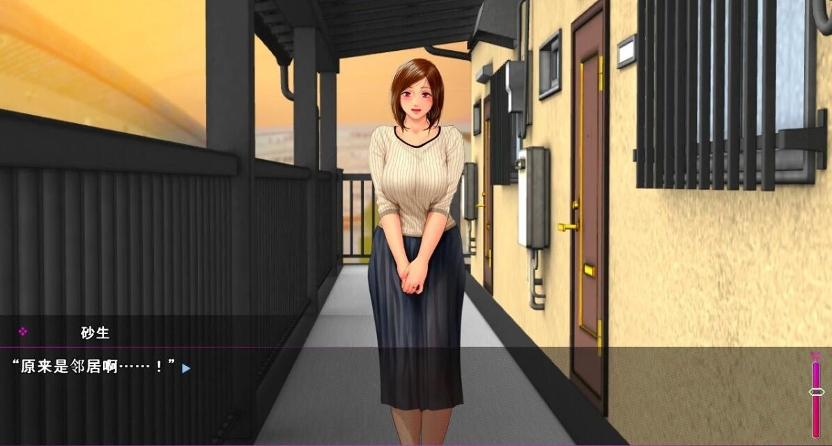 【PC/2D/ADV/NTL/汉化】堕落的妻子沉溺比自己小的男人 双端AI汉化版【1.4G】需转区运行，不会搞勿下！