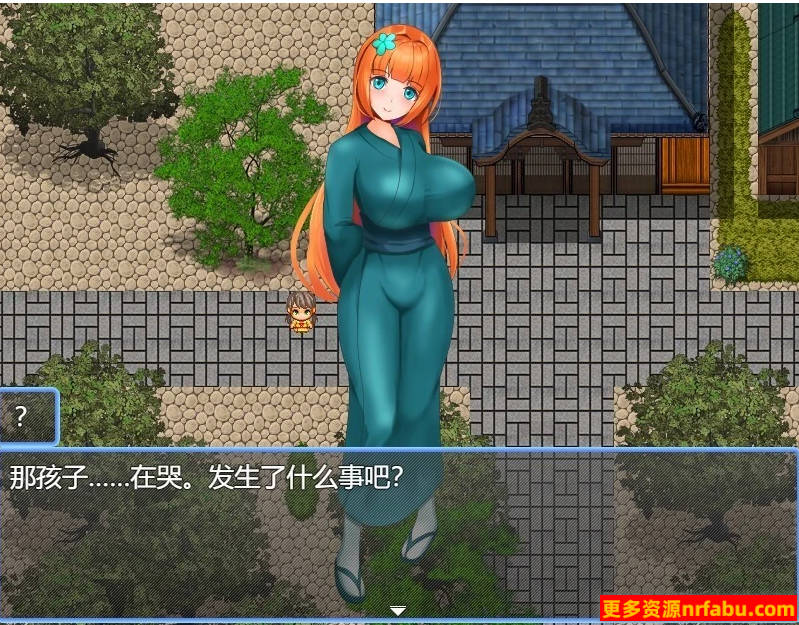 【PC/2D/RPG/汉化】邪恶裁判官 VS 正义女忍者 AI汉化版【500M】