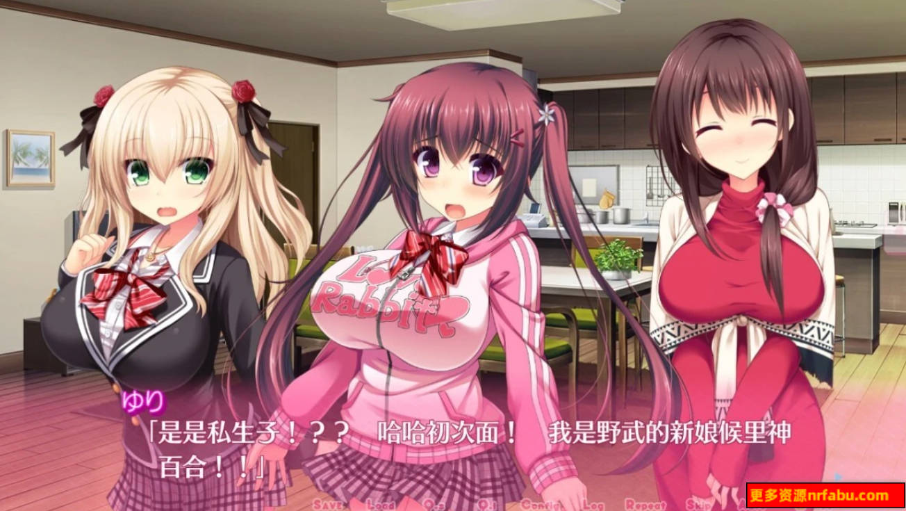 【PC/2D/GAL/汉化】像游戏一样的社保生活!1+2+FD+CG 机翻云汉版【12G】